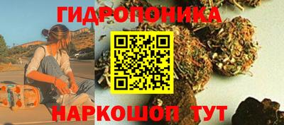 марихуана Будённовск